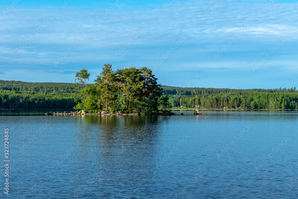 Small green island in a lake in Sweden Small green island in a lake in Sweden