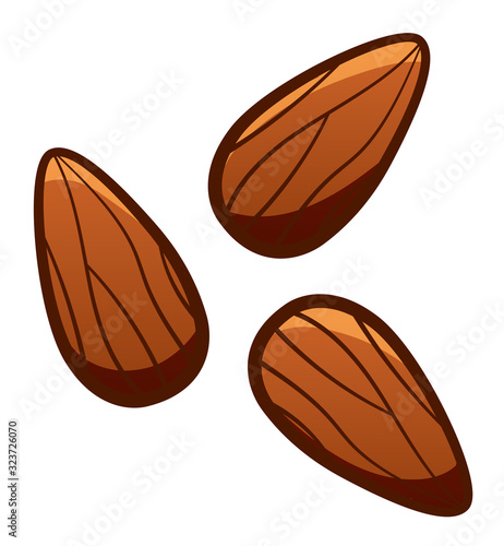 Cartoon style isolated almond on white background