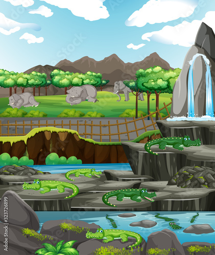 Scene with animals at the zoo