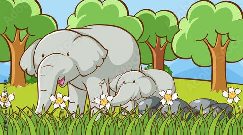 Scene with elephants in the park