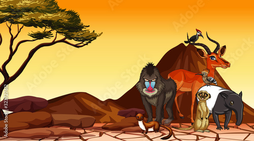 Scene with wild animals in the field