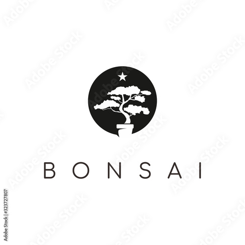 Oriental Bonsai Art, Small Plant Tree on Pot Silhouette logo design vector