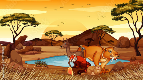 Scene with wild animals in the field