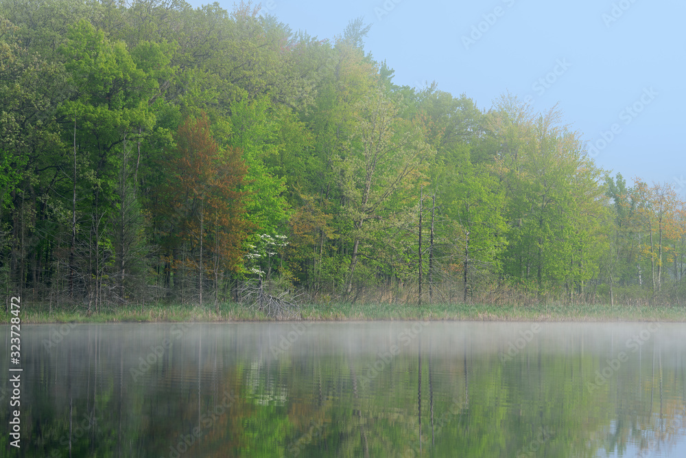 Spring landscape of the shoreline of Deep Lake in fog with reflections in calm water, Yankee Springs State Park, Michigan, USA Spring landscape of the shoreline of Deep Lake in fog with reflections in calm water, Yankee Springs State Park, Michigan, USA