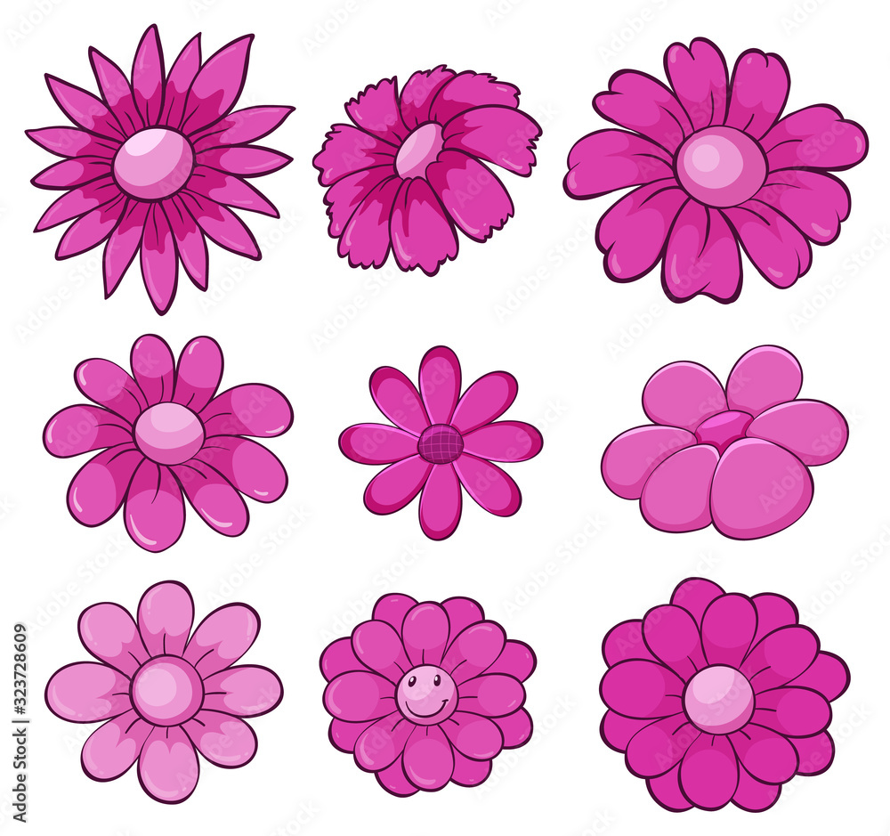 Isolated set of flowers in pink Isolated set of flowers in pink