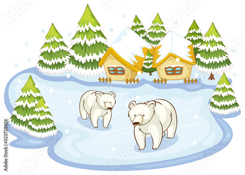 Scene with polar bears on snow ground