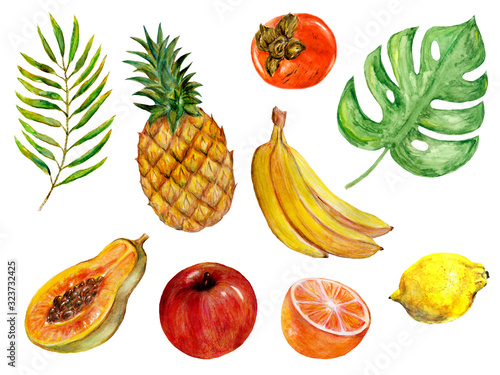 Set of fresh fruit and fruit slices isolated on white background. Apple, pineapple, orange, papaya, bananas, persimmon, palm leaf, monstera leaf. Watercolor Hand drawnillustration closeup isolated on photo