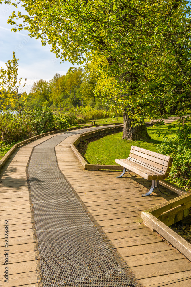 Trail tand bench in Deer Lake Park, Vancouver, Canada.
