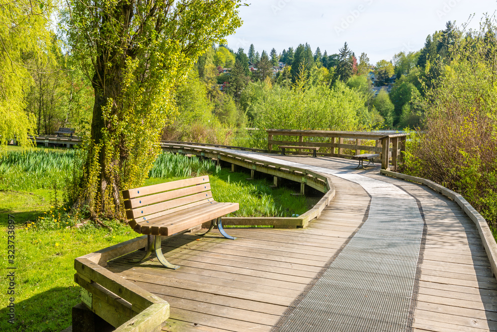 Trail tand bench in Deer Lake Park, Vancouver, Canada. Trail tand bench in Deer Lake Park, Vancouver, Canada.