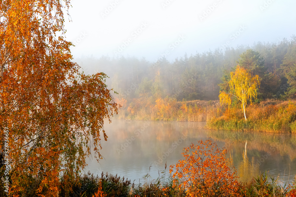Panoramic landscape with forest lake in autumn rainy day Panoramic landscape with forest lake in autumn rainy day