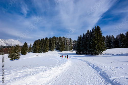 Recreation area on the road between Trei Brazi chalet and Secuilor chalet at over 1000m and 5 km from the Predeal Ski Resort , Prahova Valley, Bucegi mountains, Romania. photo