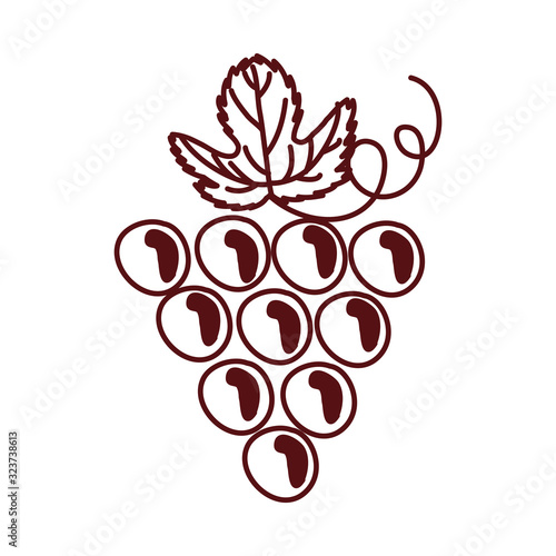 grapes fresh fruits isolated icon