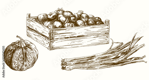 Vegetables, set of hand drawn vector llustration.