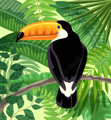 toucan bird in the rainforest. color illustration