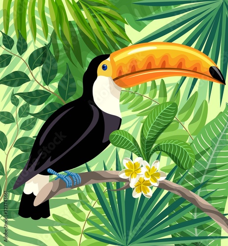 toucan bird in the rainforest. color illustration