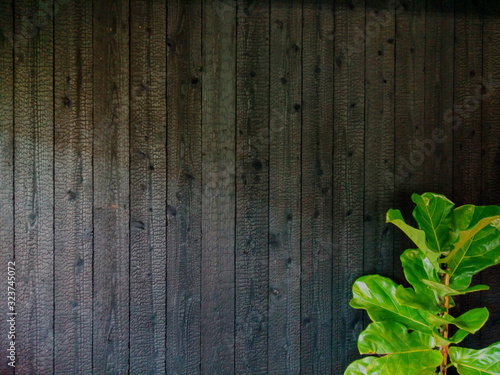 Burned wood decorate