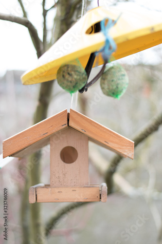 bird box in the wind