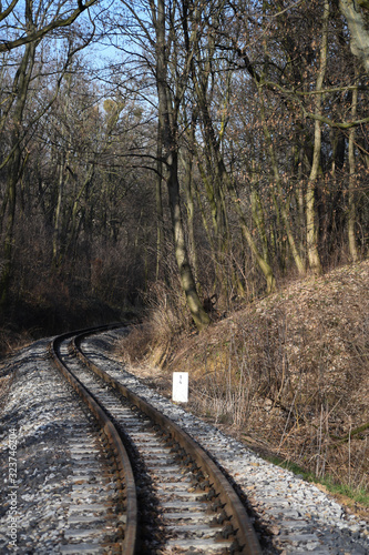 railway in the forest