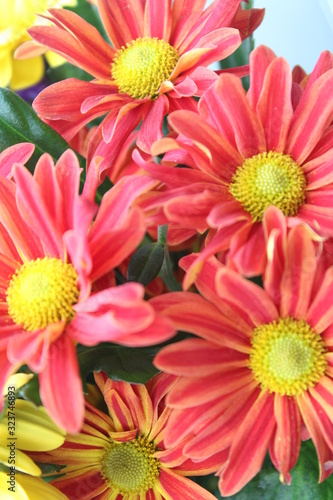  Red chrysanthemum in a bouquet