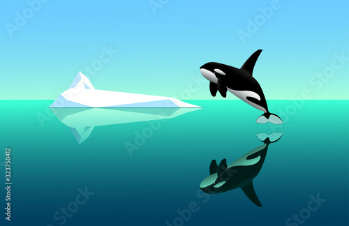 black young killer whale jumps out of the water  seascape with white  iceberg  specular water surface with reflections   blue sky  color vector illustration in cartoon   clip art style