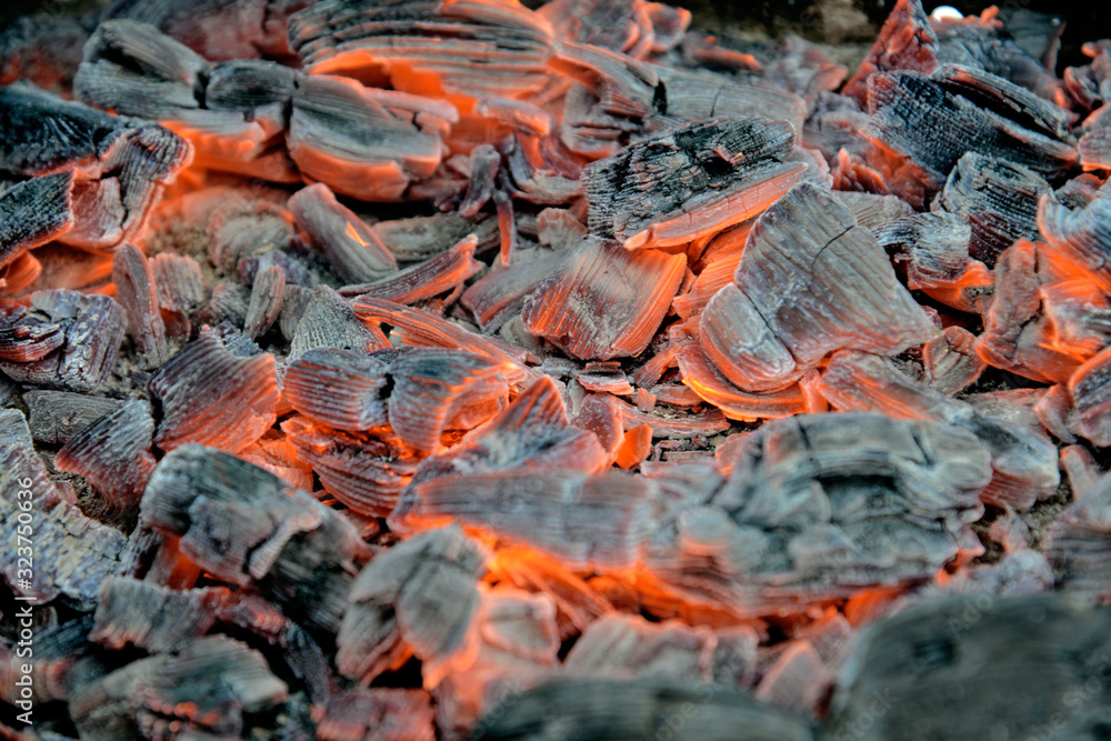 charcoal that burns on the grill charcoal that burns on the grill