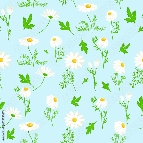 seamless pattern with camomile