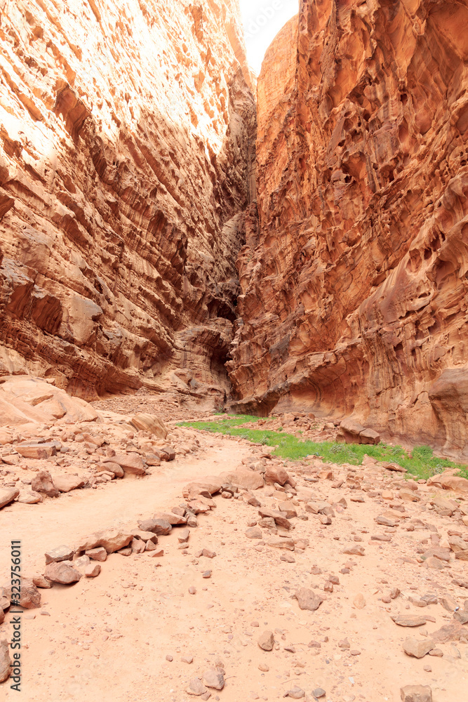 Obraz premium Canyon in Wadi Rum desert, Jordan