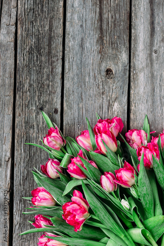 Spring Bouquet of pink peony tulips on a wooden background with space for text.