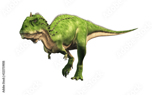 Majungasaurus was a carnivorous theropod dinosaur that lived in Cretaceous era Madagascar. A cousin species to carnotaurus, it had a horn on its head. 3D Rendering 