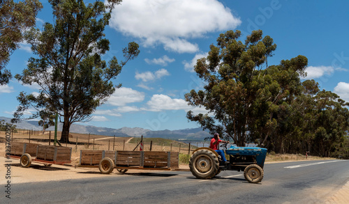 Villiersdorp, Western Cape, South Africa. Dec 2019. Tractor pulling two trailers used for fruit storage in the Overberg region of South Africa photo