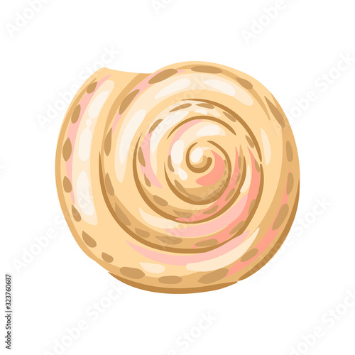 Illustration of seashell. Tropical underwater mollusk shell.