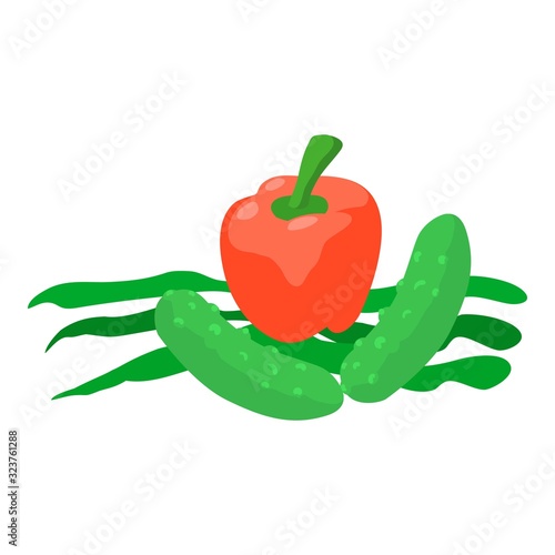 Healthy food icon. Isometric illustration of healthy food vector icon for web