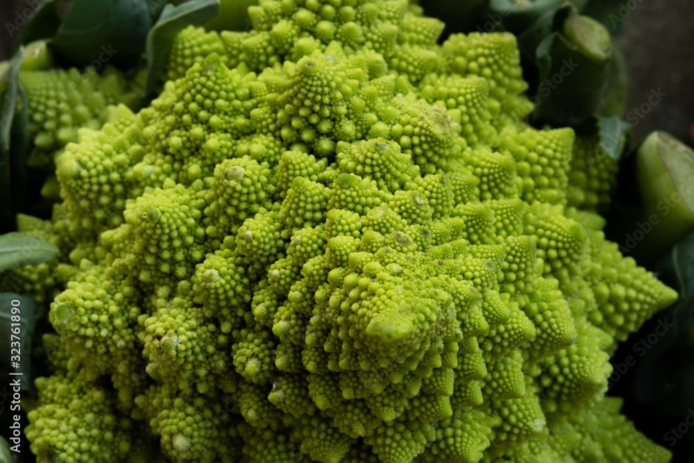 Romanesco broccoli Romanesco broccoli
