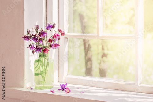 aquilegia flowers in green vase on windowsill