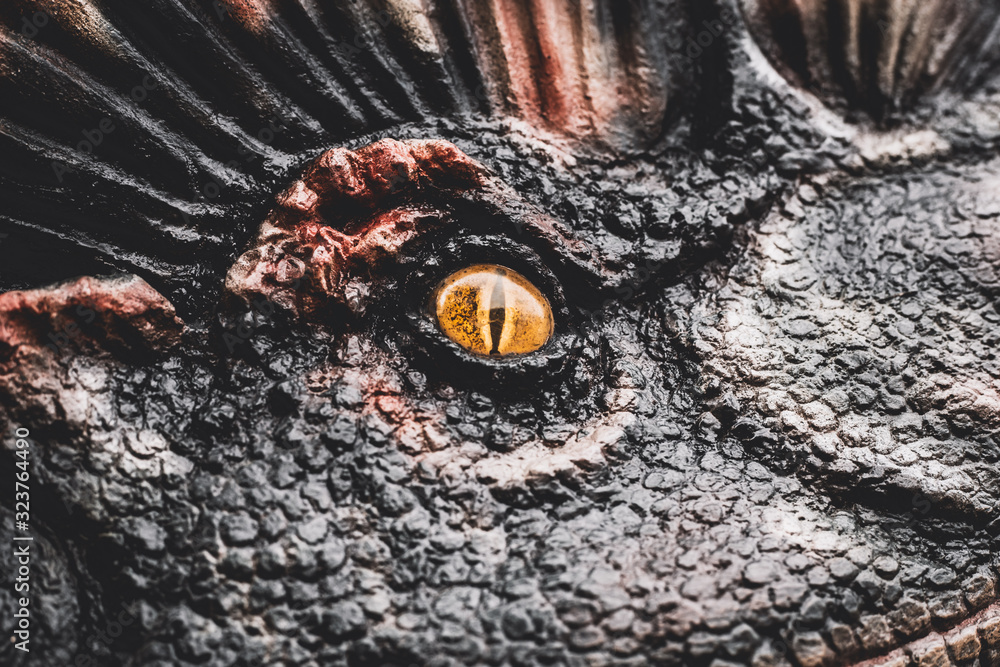 Eye of the dinosaurs with terrifying. Eye of the dinosaurs with terrifying.
