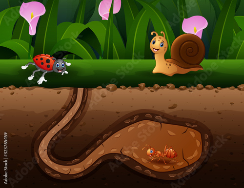 Background scene with insects in the ground