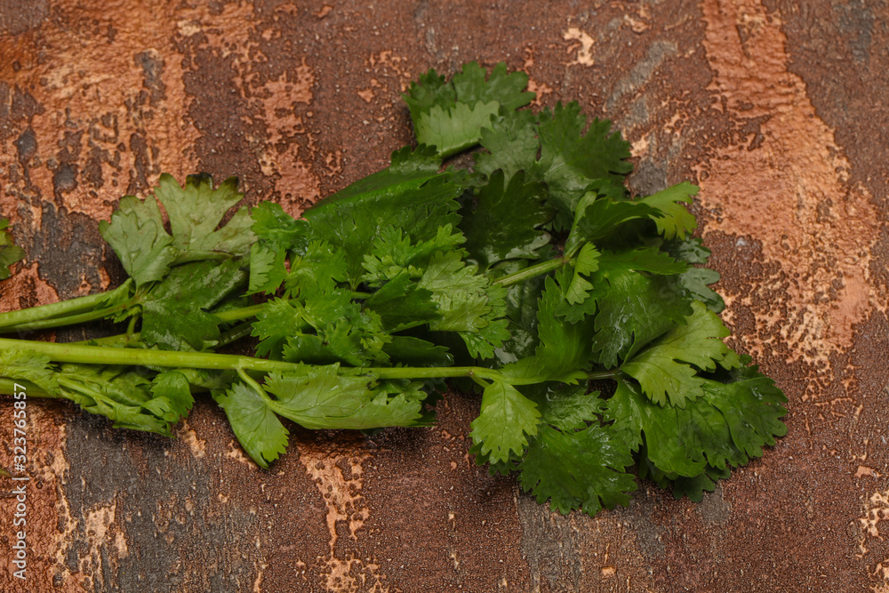 Fresh ripe Green cilantro leaves Fresh ripe Green cilantro leaves