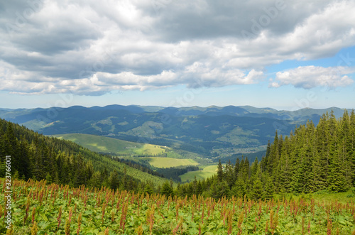 Summer mountain view Carpathian, Summer mountain view Carpathian, Kryvopillja, Verkhovyna district, Ivano-Frankivsk region, Ukraine. district, Ivano-Frankivsk region, Ukraine.