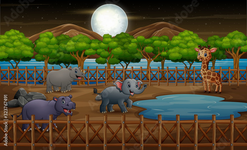 Wild animals in the zoo park open air cage on nature