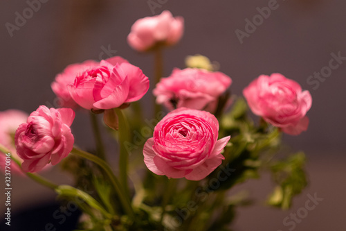 Pink flower arrangement.