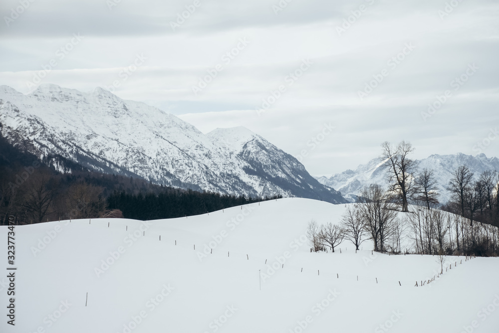 Obraz premium winter in the mountains