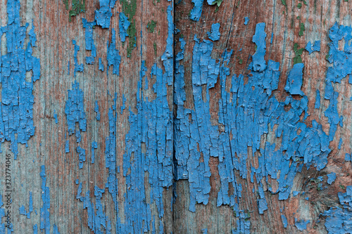 Vintage wood texture background. Natural wood texture. 