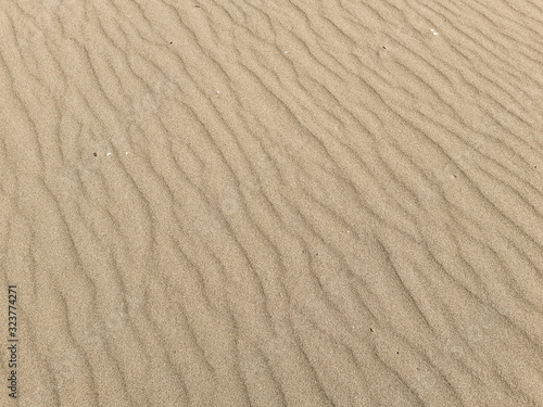 Sandy background  windy desert backdrop