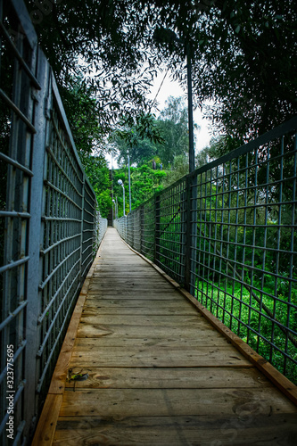 Fototapeta Naklejka Na Ścianę i Meble -  Narrow wooden suspension bridge with metal railings surrounded by thickets