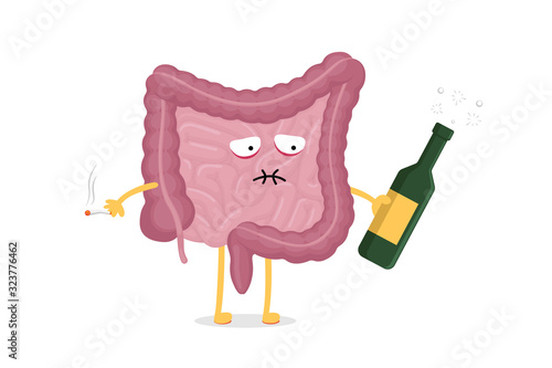 Sad suffering sick drunk intestines character with alcohol bottle and cigarette. Abdominal cavity digestive and excretion human internal unhealthy organ. Bad indigestion vector illustration