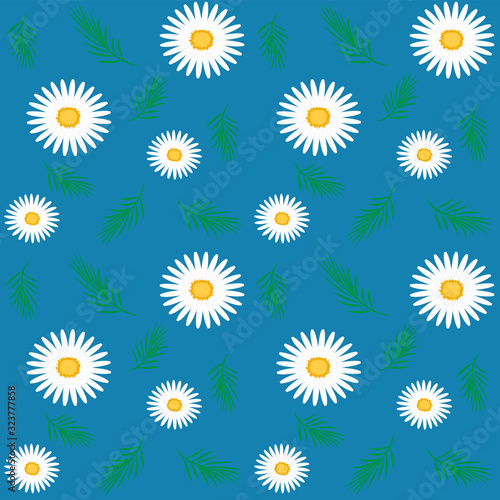 White camomiles on a blue background - pattern - vector. Congratulation. Mothers Day. Wildflowers.
