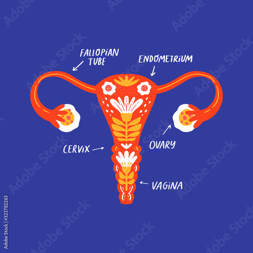 Female reproductive system stylized vector banner template