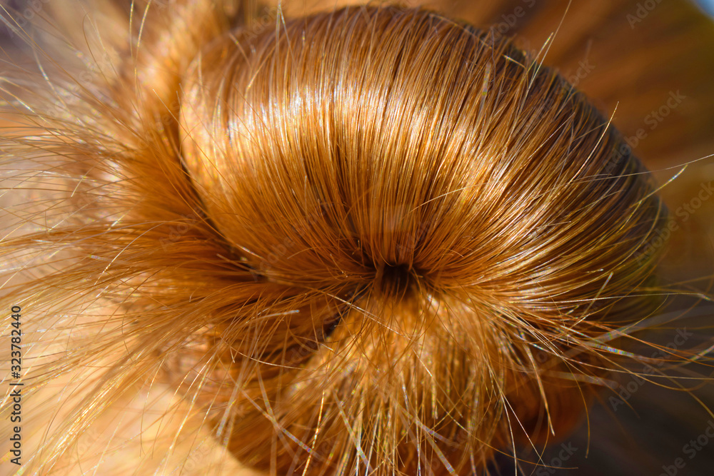 Obraz premium onions on black background