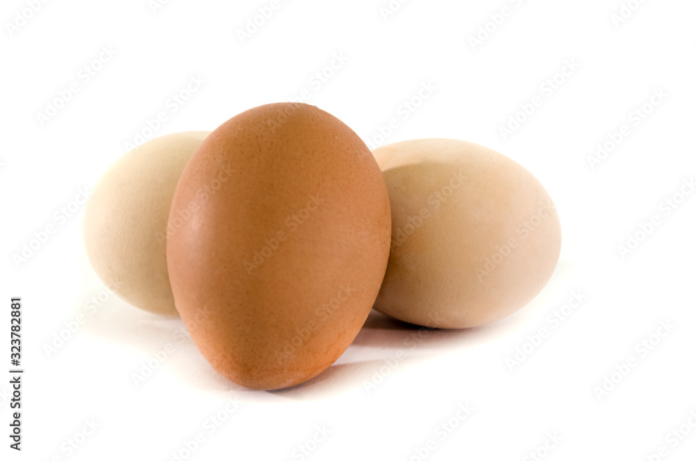 chicken eggs on a white background. Close-up. chicken eggs on a white background. Close-up.