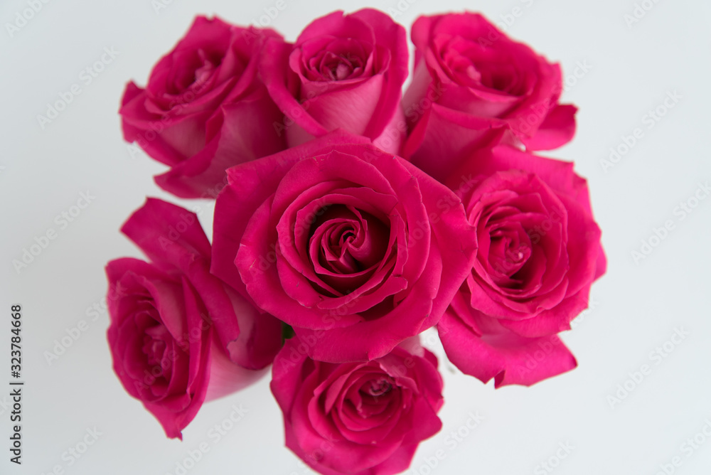 Bouquet of pink roses on a white background. Bouquet of pink roses on a white background.